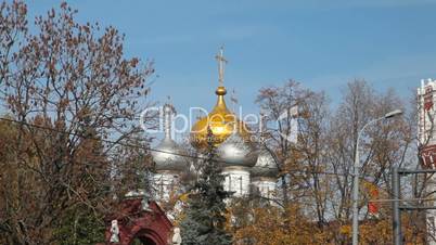 Novodevichy Convent domes