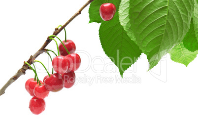 sweet cherries