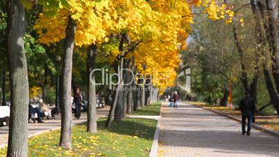 People walking at Novodevichy Convent pond