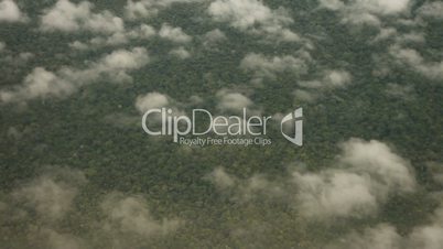 Flug über Regenwald