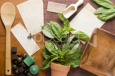 Basil Leaves