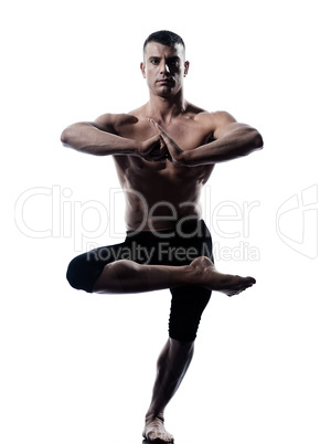 Man yoga balance Vriksha-asana the Tree Pose