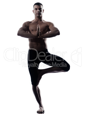 Man yoga balance Vriksha-asana the Tree Pose