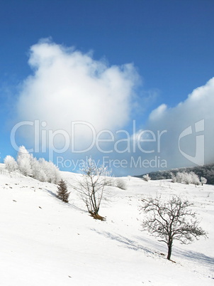 Winter landscape