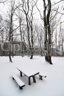 Snow in park