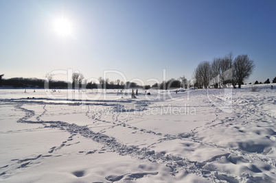 Winter landscape