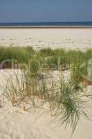 Sanddüne auf Langeoog