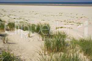Sanddüne auf Langeoog