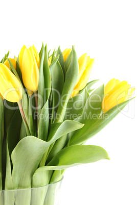 Tulips Bouquet