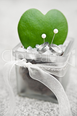 Wedding Rings with Cactus