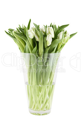 Tulips Bouquet