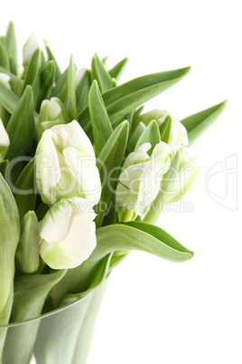 Tulips Bouquet