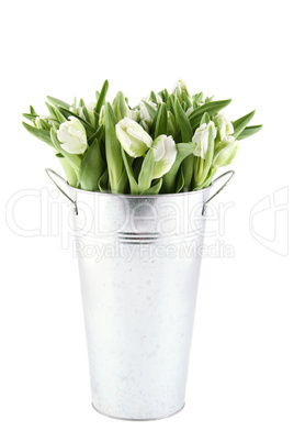 Tulips Bouquet