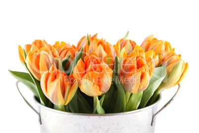 Tulips Bouquet