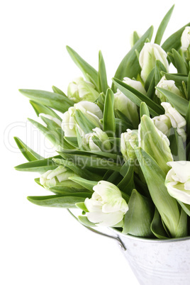 Tulips Bouquet