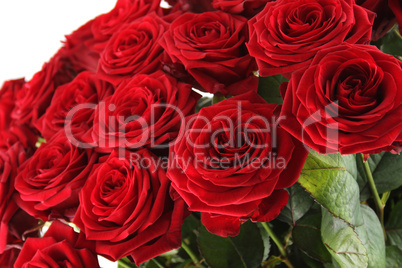 Bouquet of roses