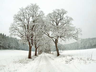 Winterweg