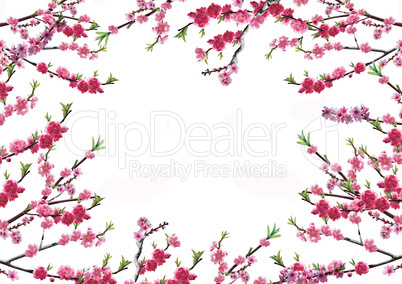 Cherry branch with pink flowers
