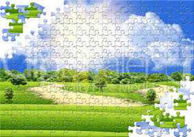 Puzzle with a field