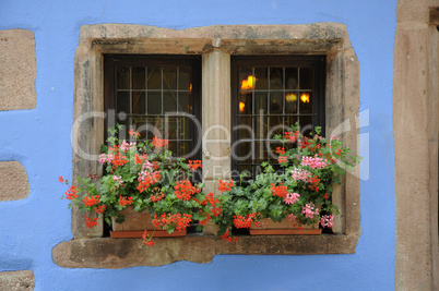 Fenster eines Hauses in Riquewihr, Elsaß