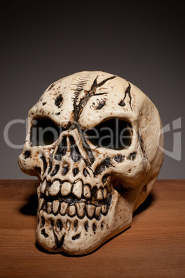 Human Skull With Copyspace