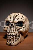Human Skull With Copyspace
