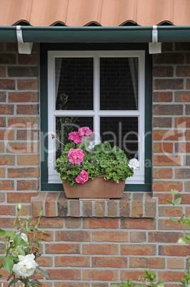 Fenster in Norddeutschland