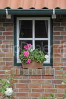 Fenster in Norddeutschland