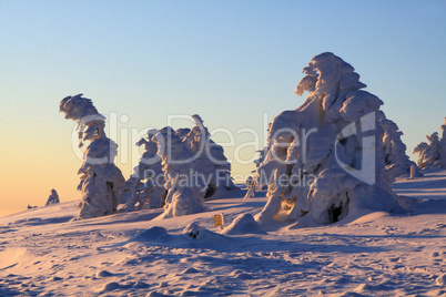 Sonnenaufgang auf dem Brocken