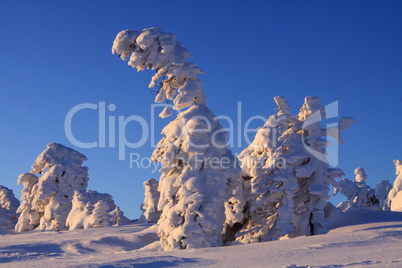 Sonnenaufgang auf dem Brocken