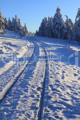 Im Winterwald am Brocken