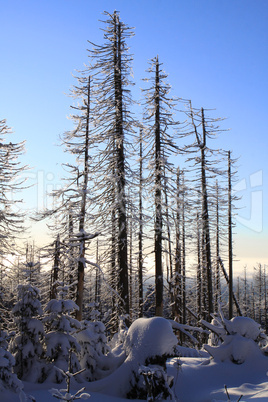 Sonnenaufgang am Brocken