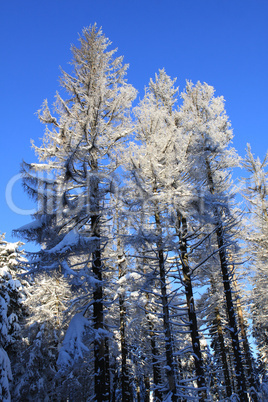 Sonnenaufgang am Brocken