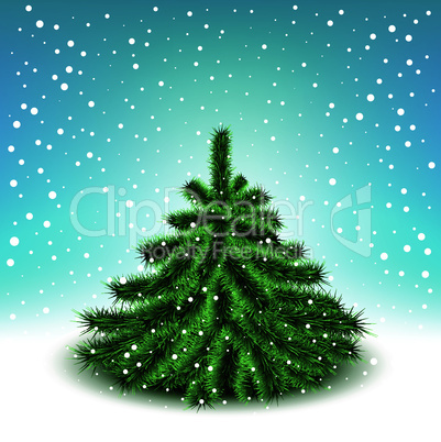 Little fluffy Christmas tree