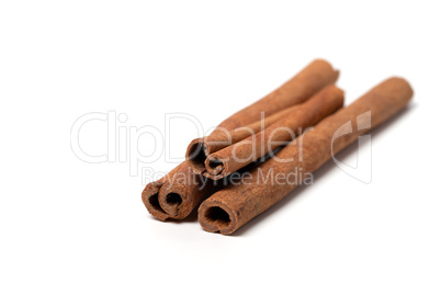 Cinnamon sticks on white background