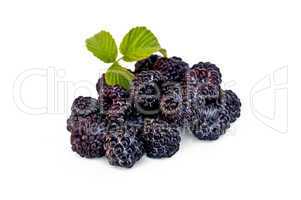 Blackberries with leaf