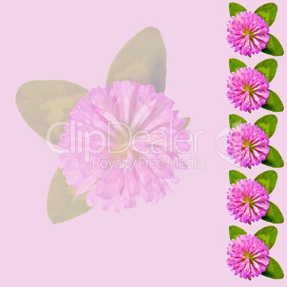 Frame with clover on a pink background