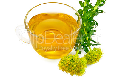 Herbal tea with flowers Rhodiola rosea