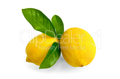 Lemons two with leaves