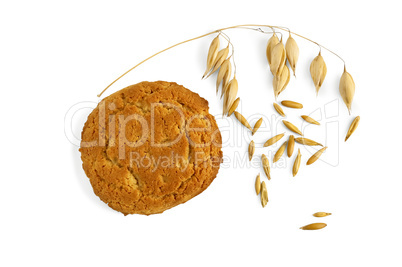 Oatmeal cookies with a stem of oats and grains