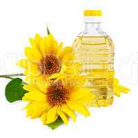 Vegetable oil from sunflower
