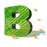 Ecological B letter