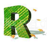 Ecological R letter