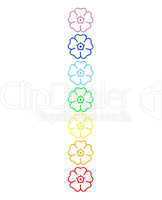 Colored flowers in chakra column