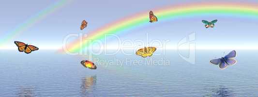 Butterflies and rainbow