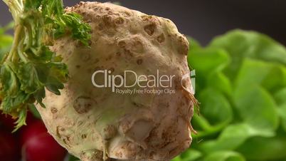 Celery root, studio shot