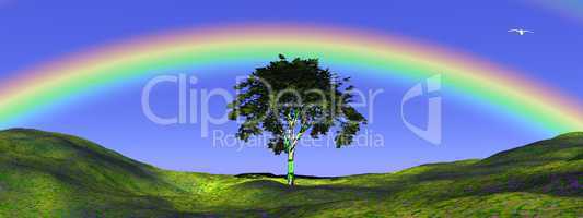 Tree under rainbow