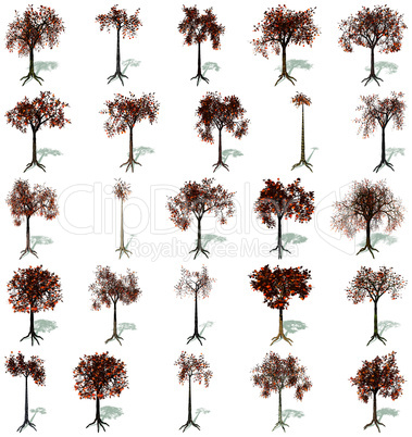 Autumn trees set