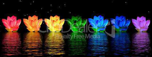 Lily flowers chakras