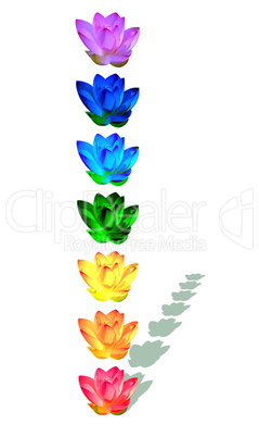 Chakra colors of lily flowers